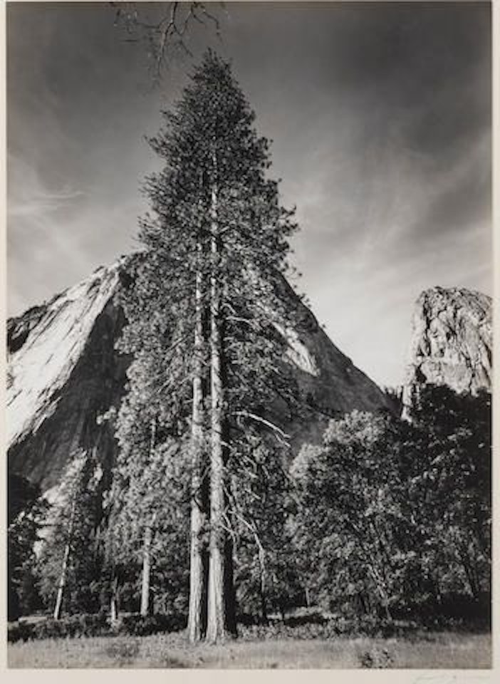 Trees and Cliffs, from Portfolio Three by Ansel Adams