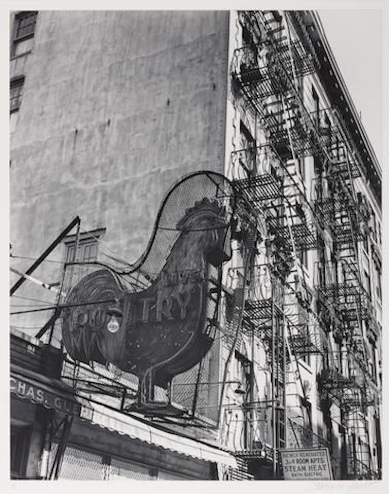 Poultry Shop, East 7th Street, Manhattan, from "Berenice Abbott's New York" by Berenice Abbott