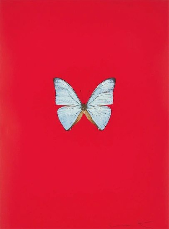 New Beginnings: one plate by Damien Hirst