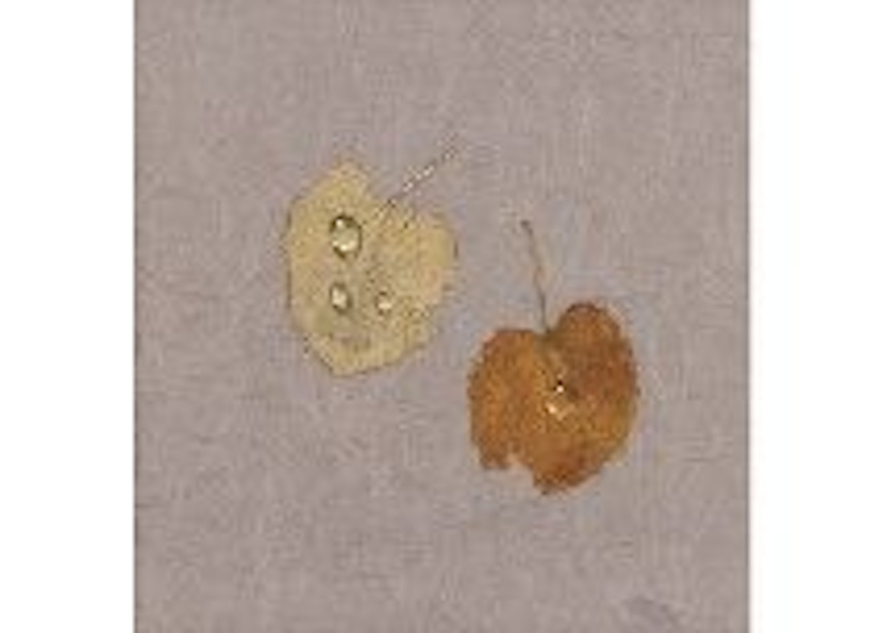 Water Drops by Kim Tschang-Yeul