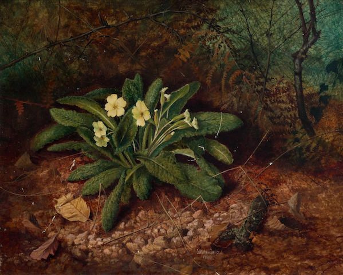 Primroses by John Atkinson Grimshaw