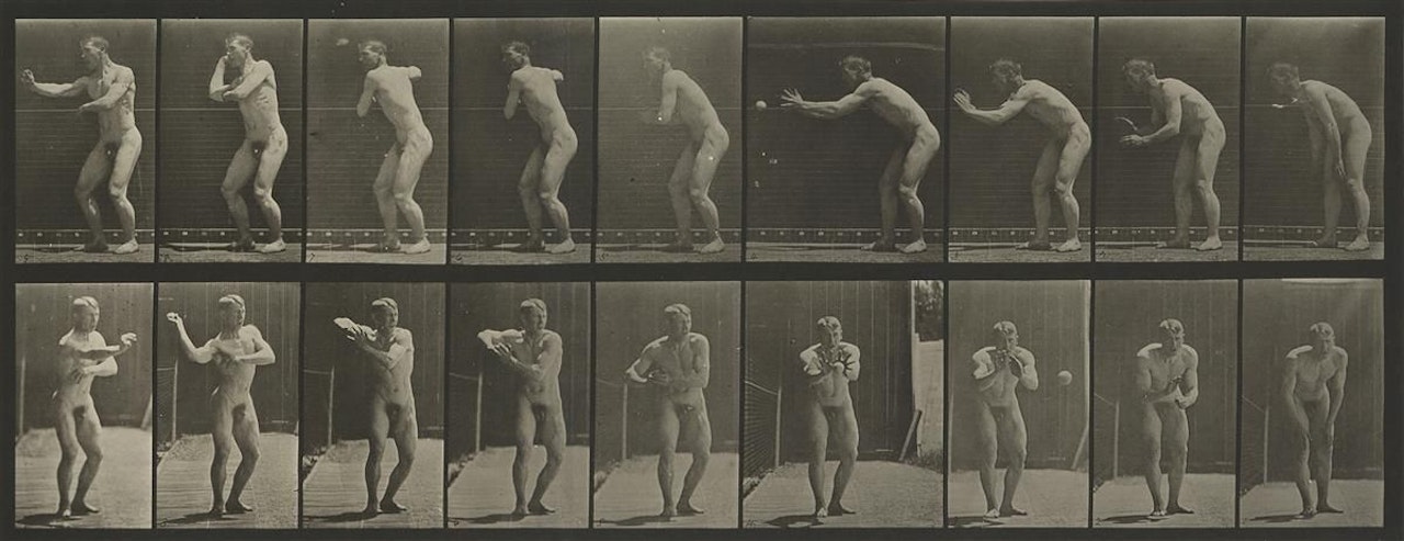 Animal Locomotion Depicting Men Engaged In Physical Activities, Including Throwing A Baseball, Jumping, Walking And Wielding A Bayonet by Eadweard Muybridge