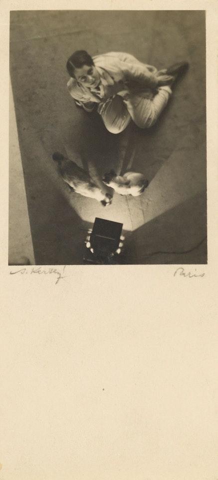 Mrs. Edwin Rosskam With Her Cats; Portrait of Mrs. Edwin Rosskam by André Kertész