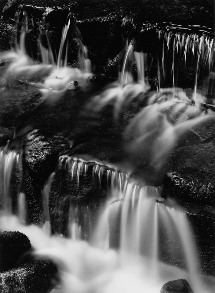 Fern Spring, Dusk, Yosemite Valley, California by Ansel Adams