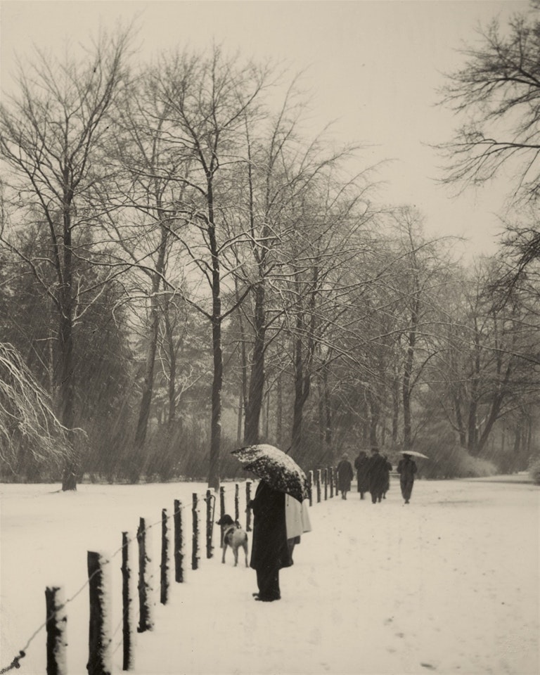 Winter im Stadtwald by August Sander