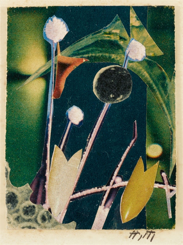 Nachtgewächse by Hannah Höch