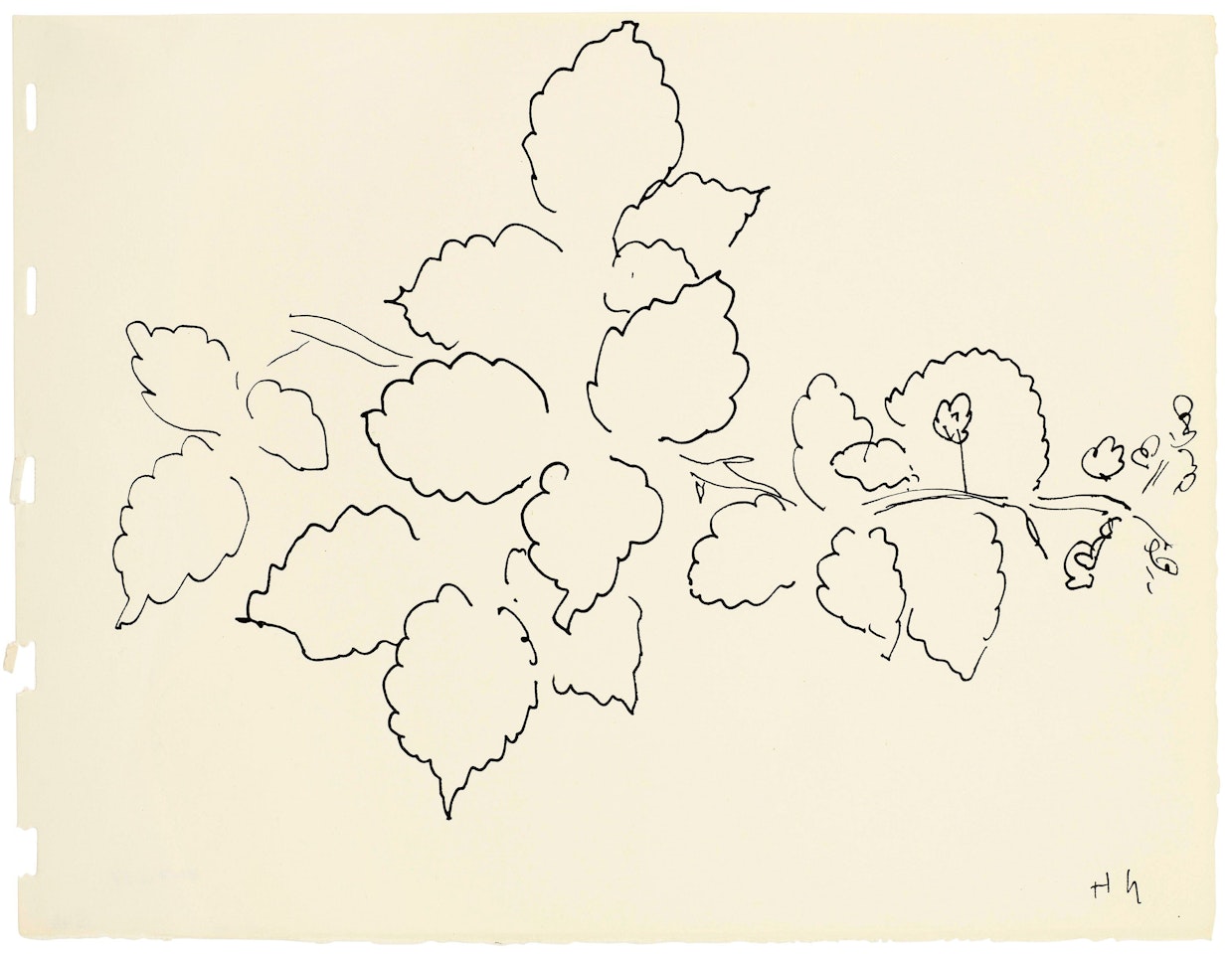 Feuilles et fleurs by Henri Matisse