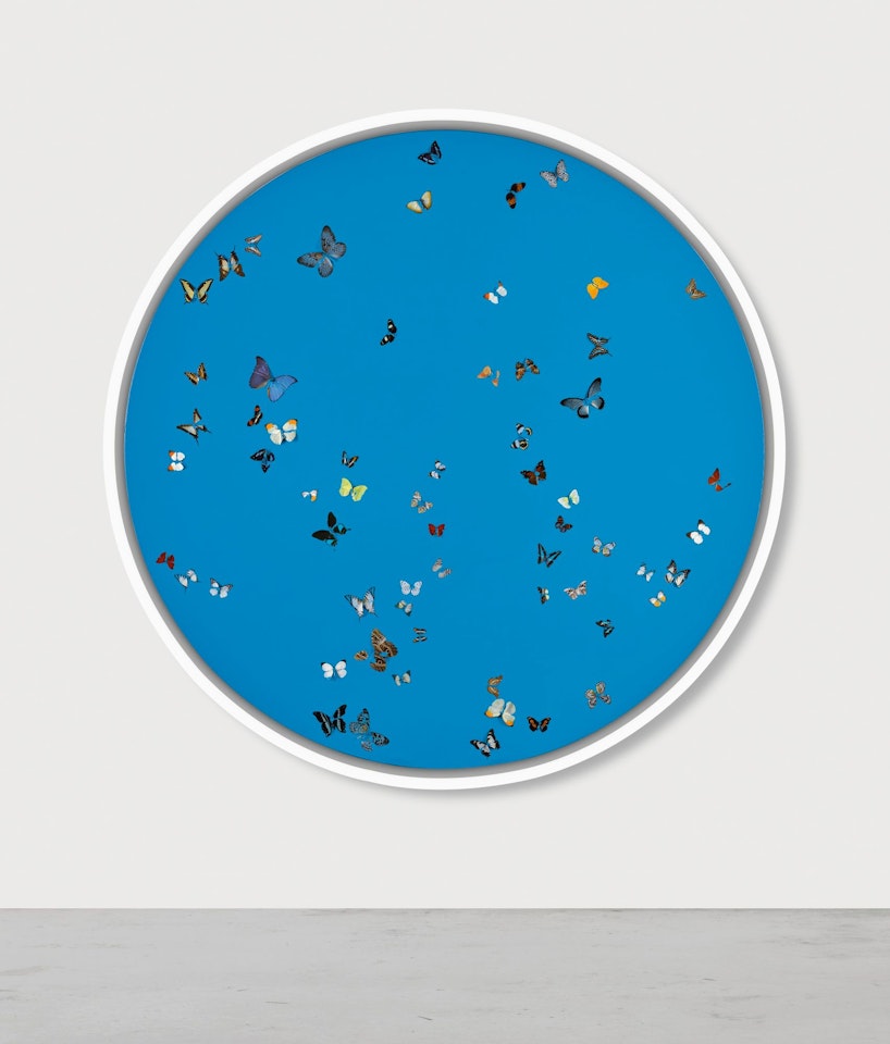 LULLABY IN BLUE  by Damien Hirst