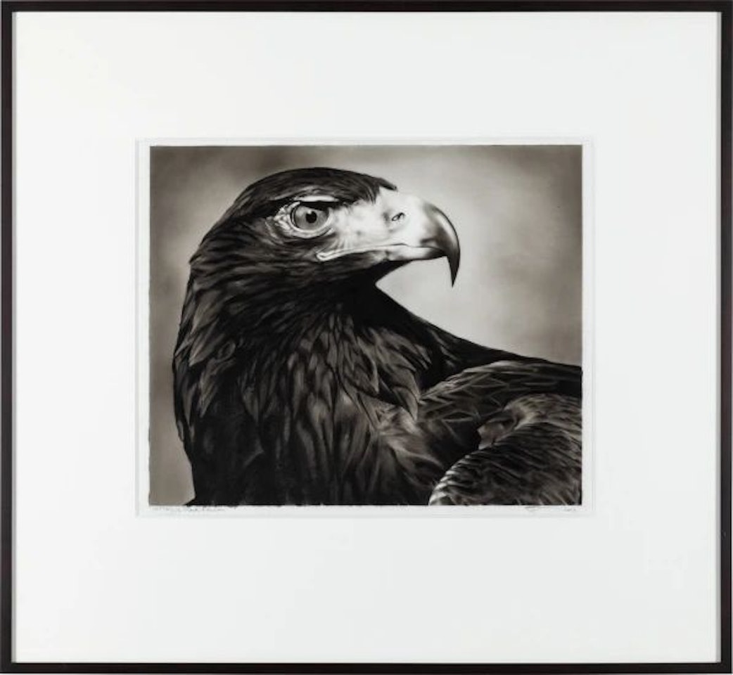 Study of Black Falcon by Robert Longo