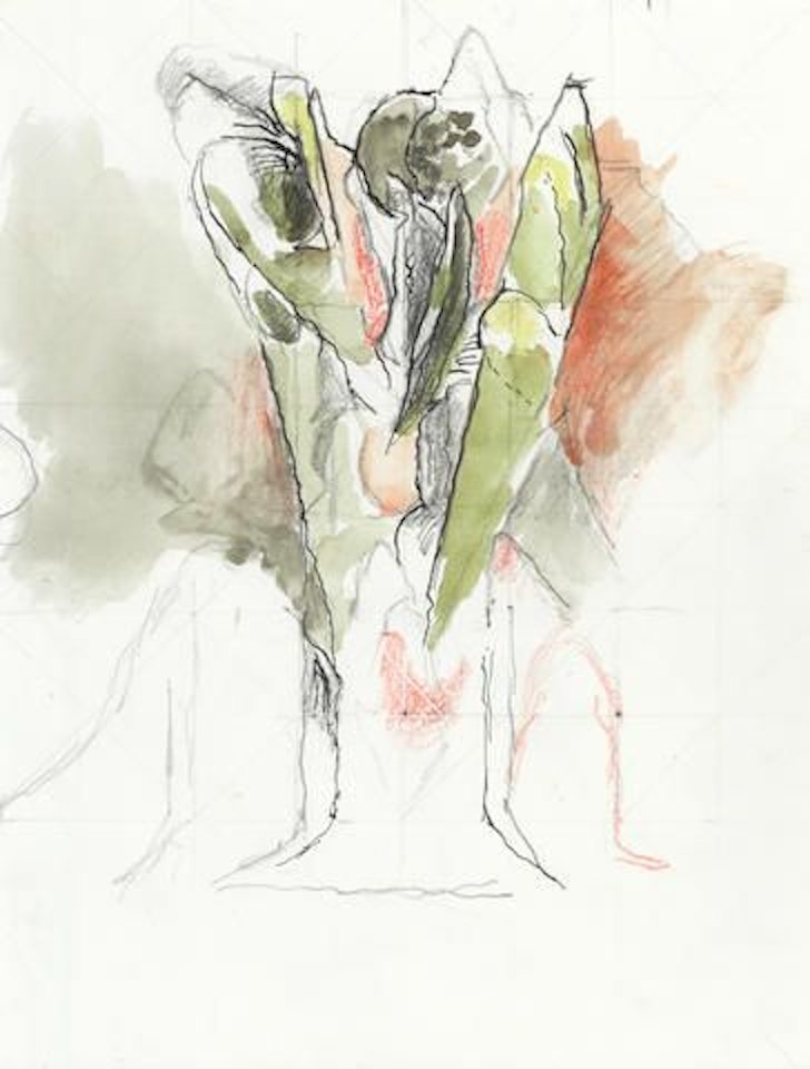 Study for Petrified Flower by Graham Sutherland