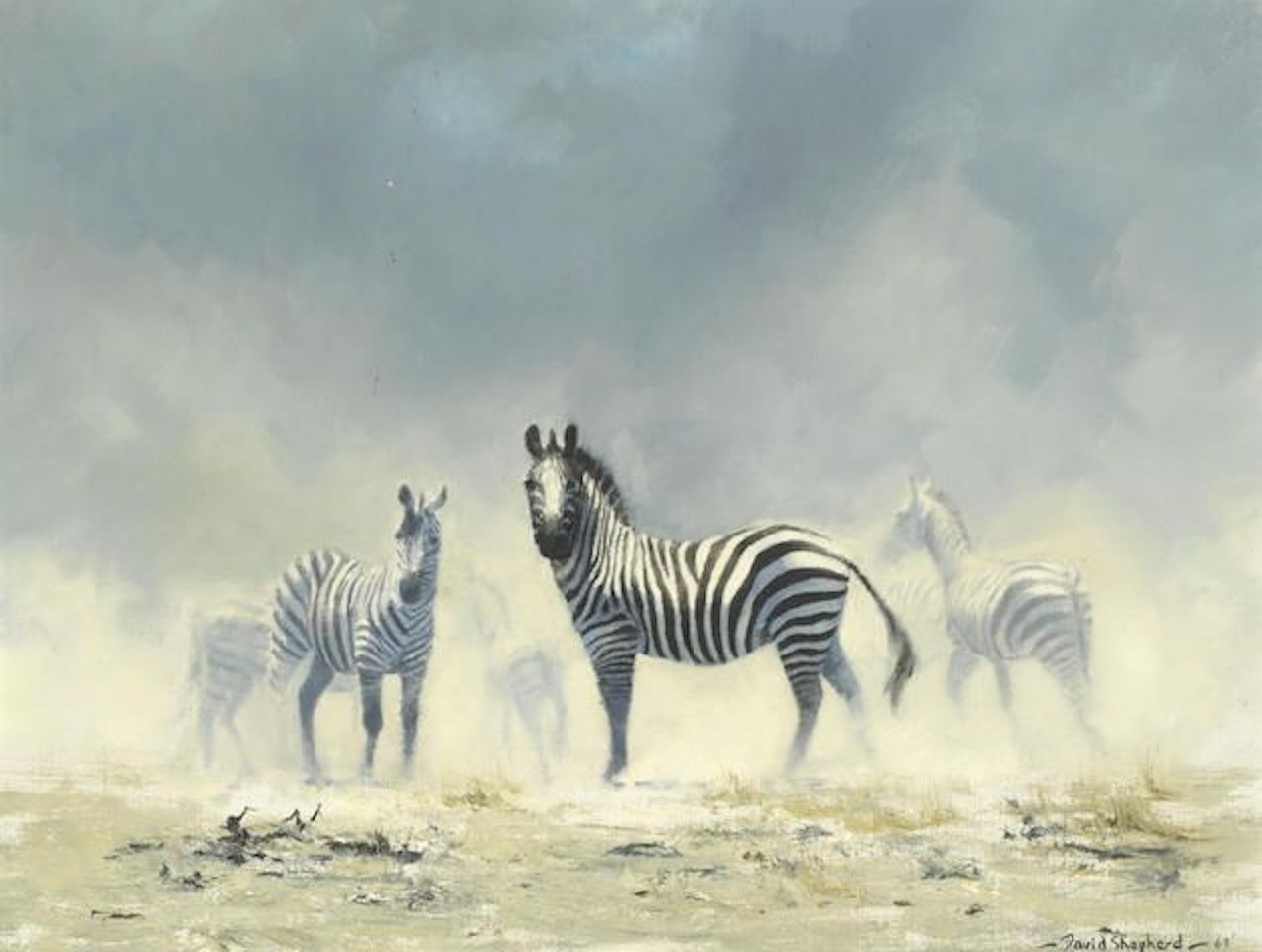 Zebras by David Shepherd