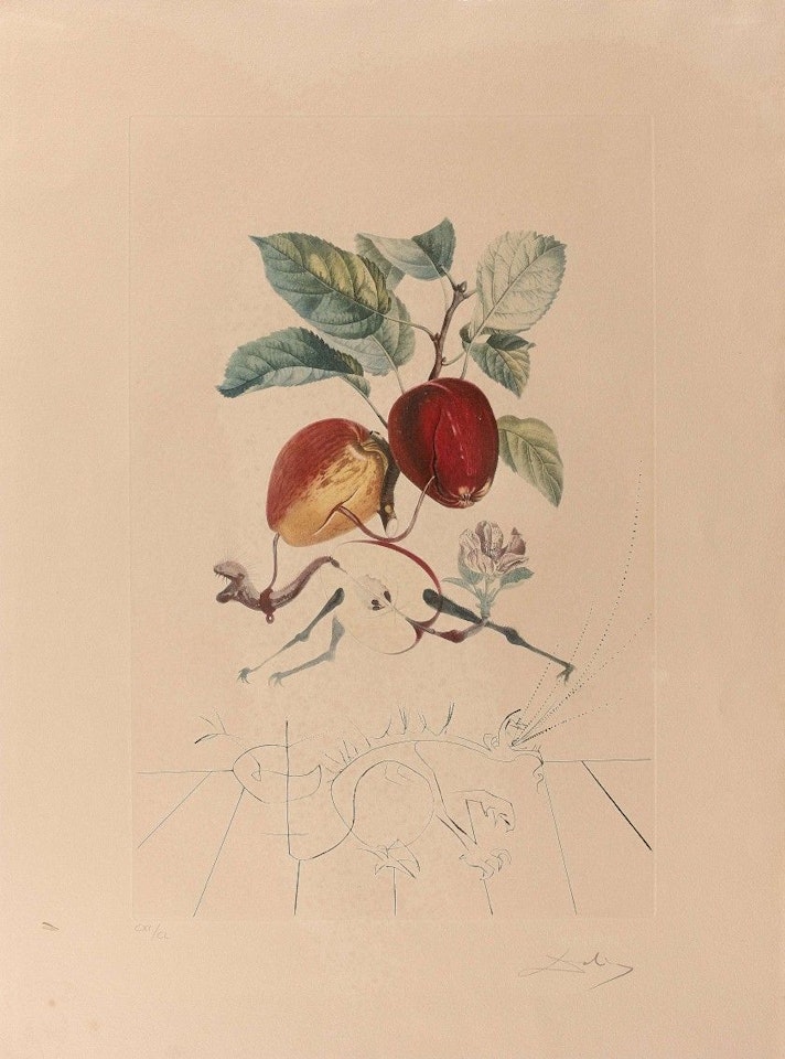 Flordali-the fruits: dragon apple by Salvador Dali