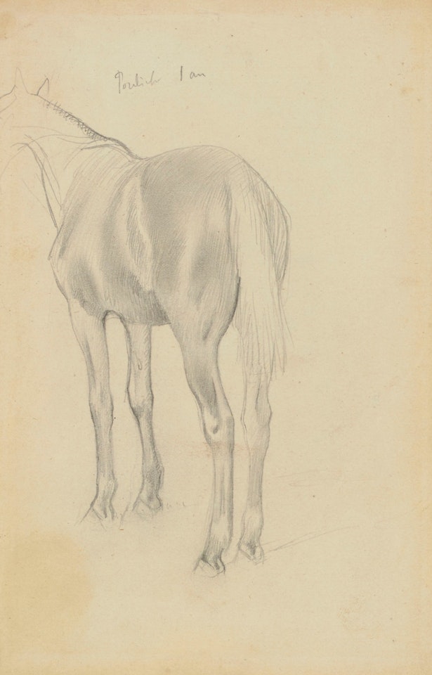 Étude de cheval (recto;verso) by Edgar Degas
