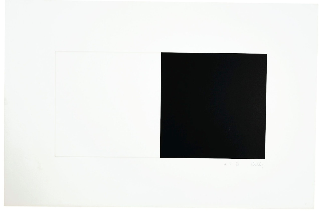 WHITE AND BLACK (AXSOM 87) by Ellsworth Kelly