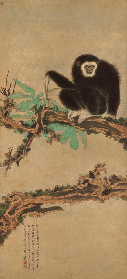 GIBBON ON OLD TREE by Zhang Daqian