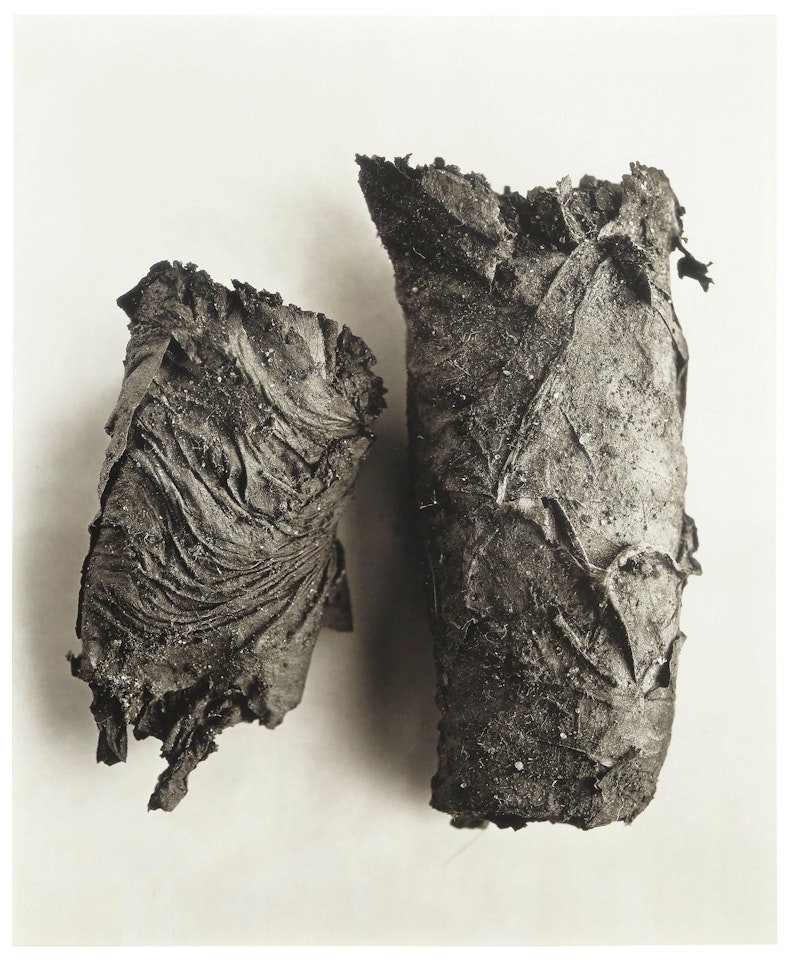 Cigarette no. 69, New York, 1972 by Irving Penn