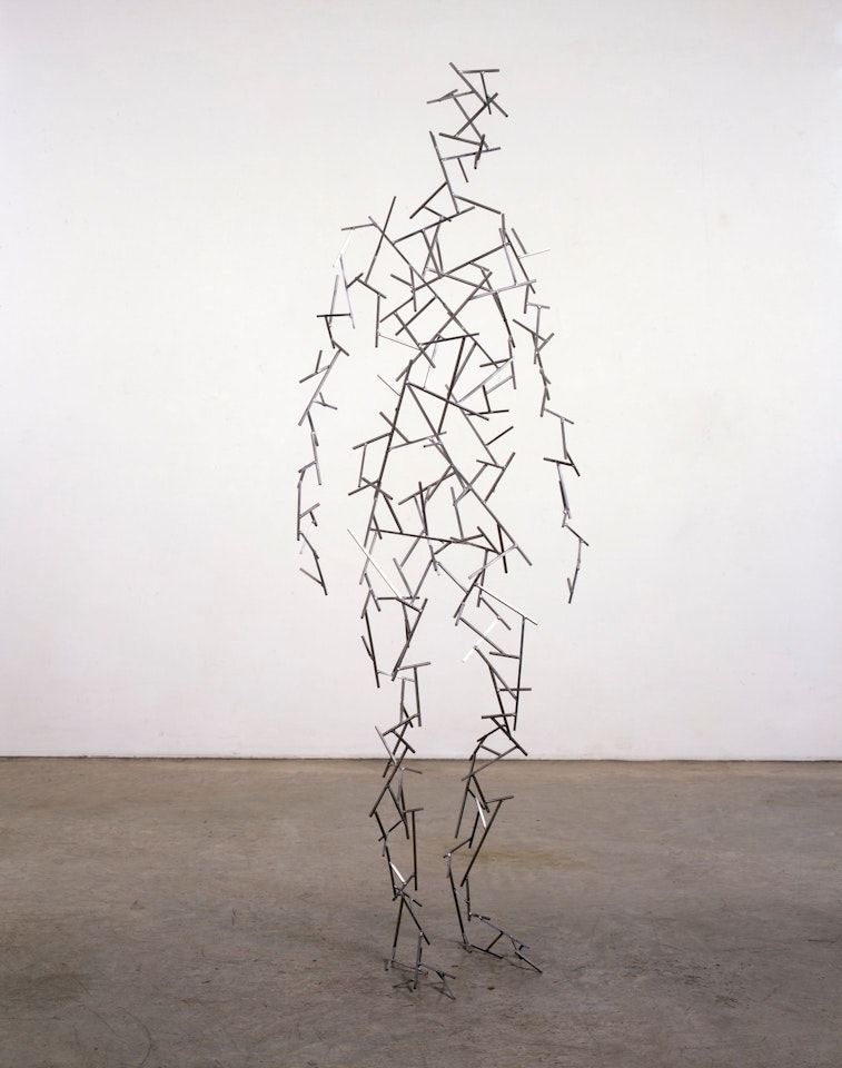 DOMAIN LIII by Antony Gormley