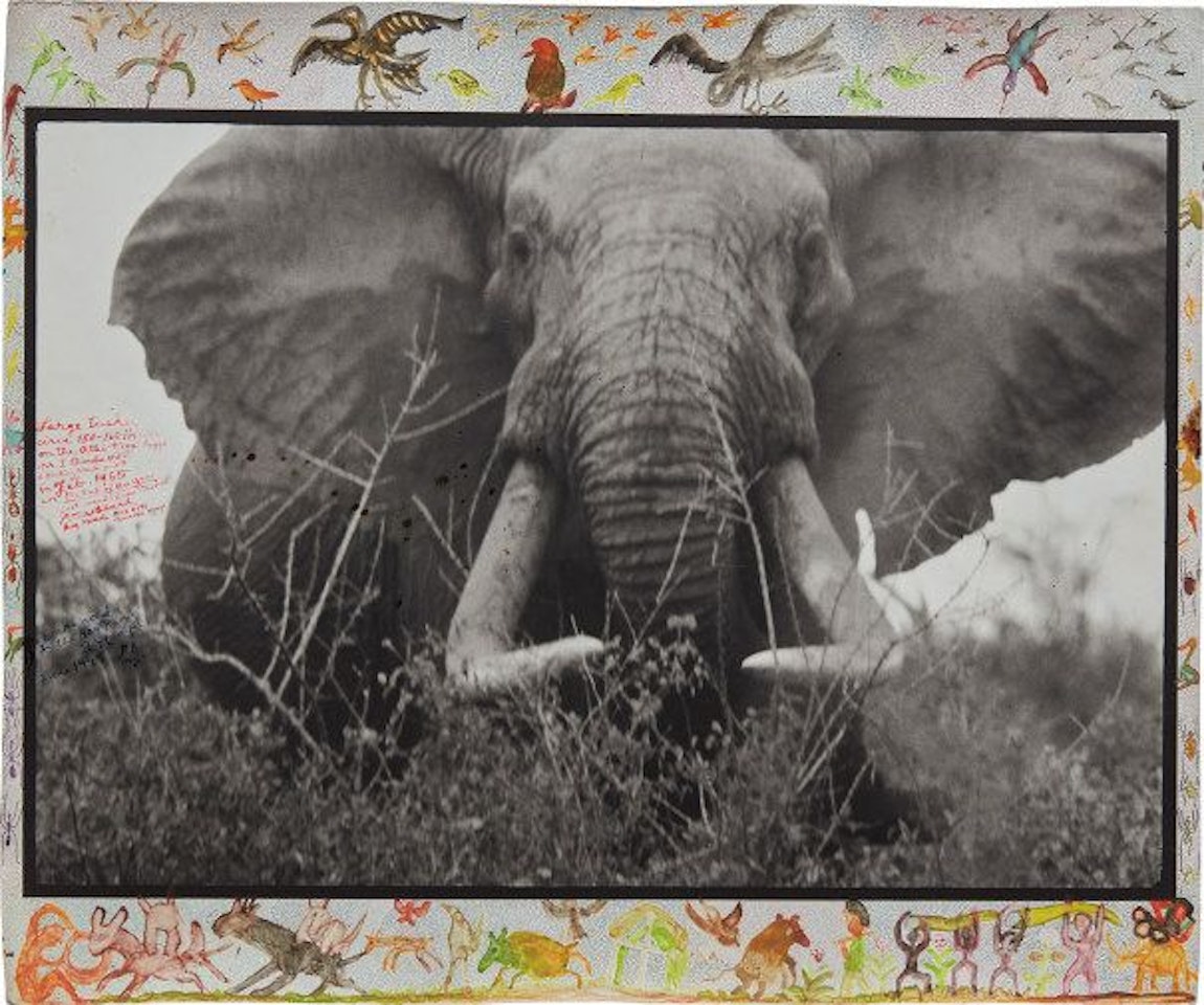 Large tusker (c. 150 lbs per side), Tsavo North, near hunting block 33/ Ithumber Hill on the Athi-Tiva dry river, February by Peter Beard