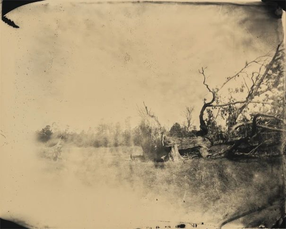 Untitled from Deep South by Sally Mann