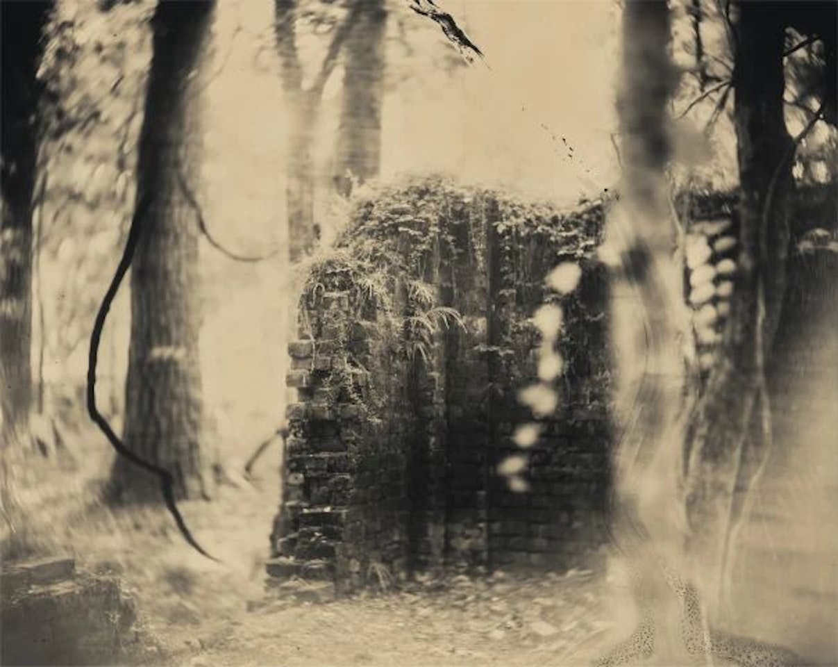 Untitled from Deep South by Sally Mann