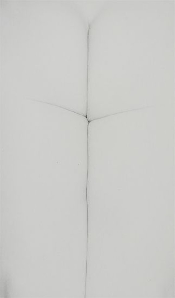 Untitled, Eleanor by Harry Callahan