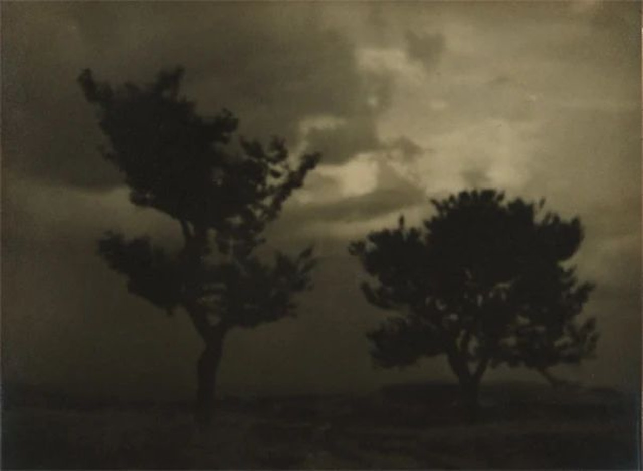 Untitled (landscape with trees) by Josef Sudek