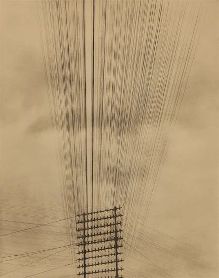 Telephone Wires, Mexico by Tina Modotti