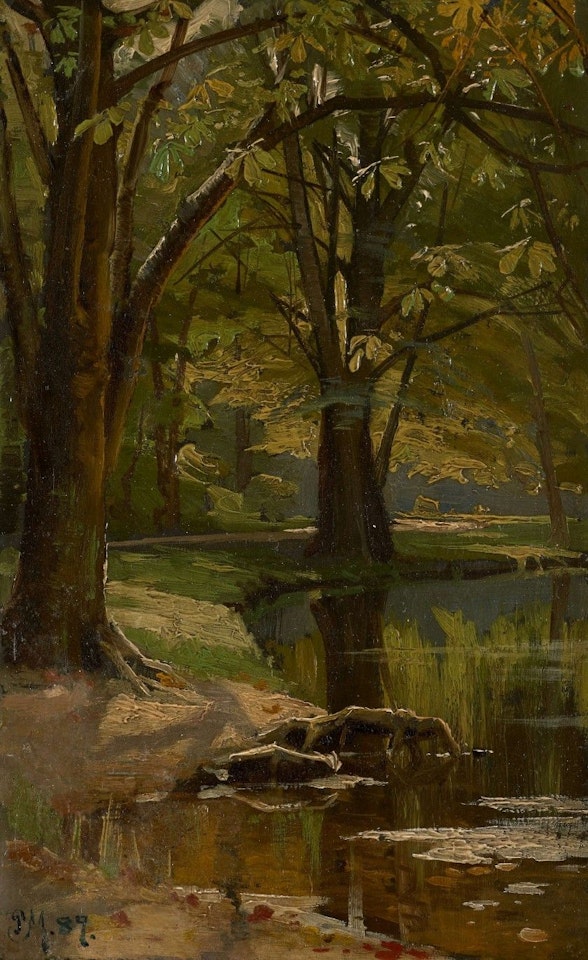 Undergrowth at the edge of a pond by Peder Mork Monsted