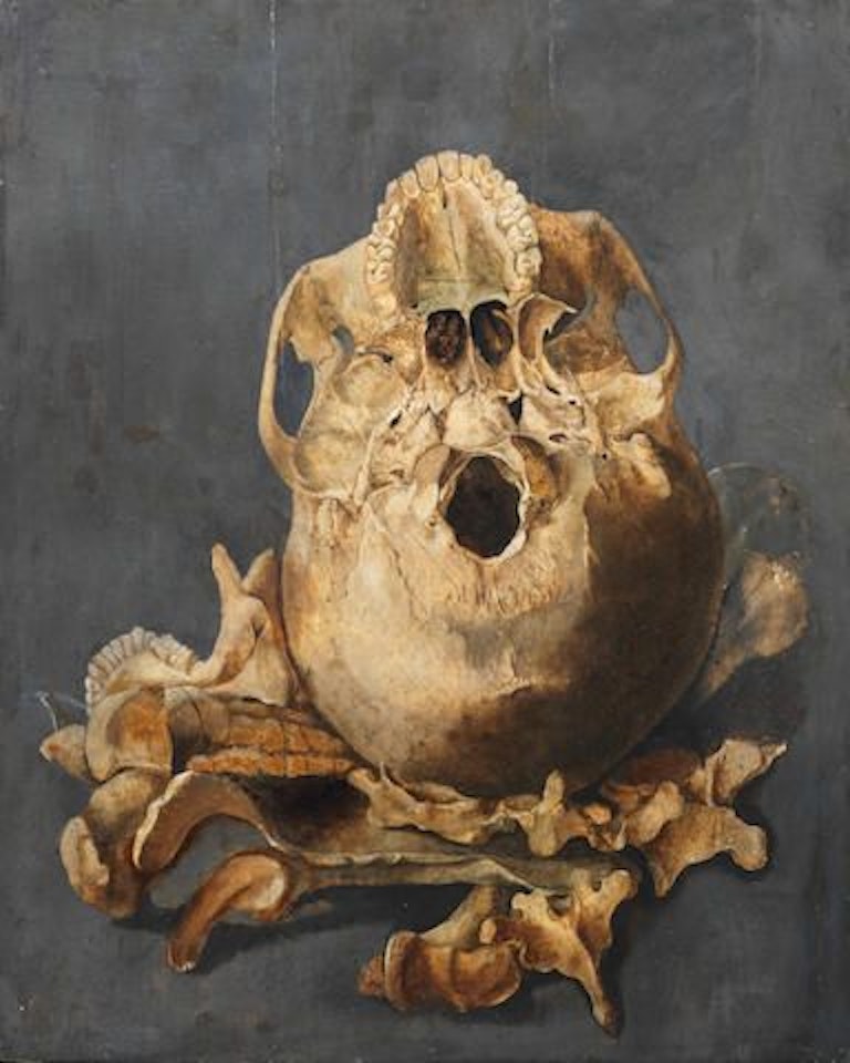 A skull with a snake; and The underside of a skull with other bones by German School