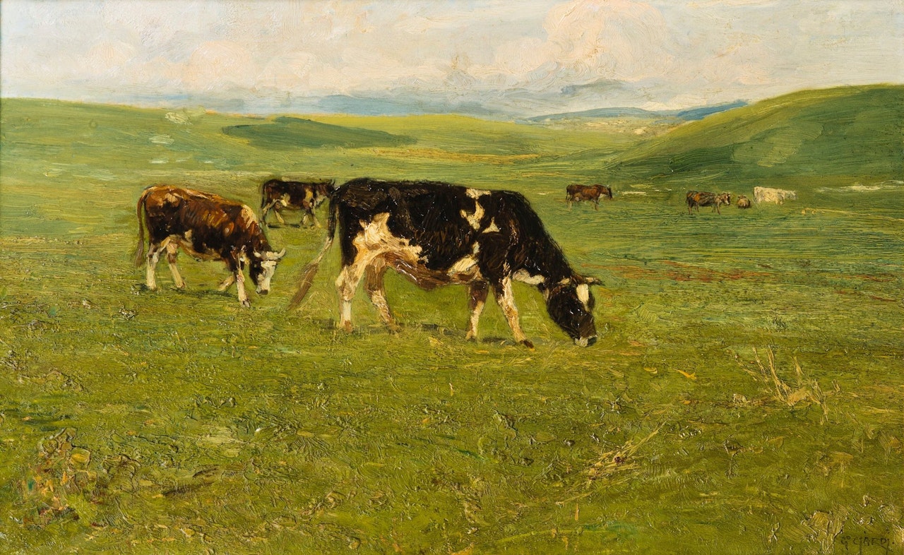 BROWN COWS, ASIAGO by Guglielmo Ciardi