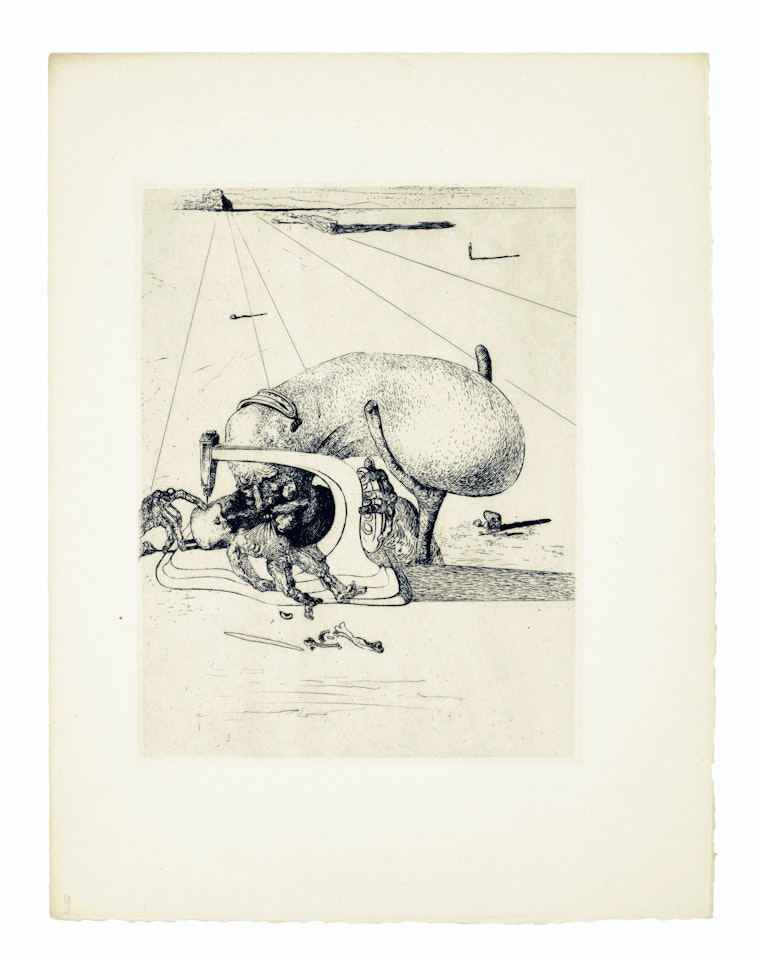 Les Chants de Maldoror by Salvador Dali