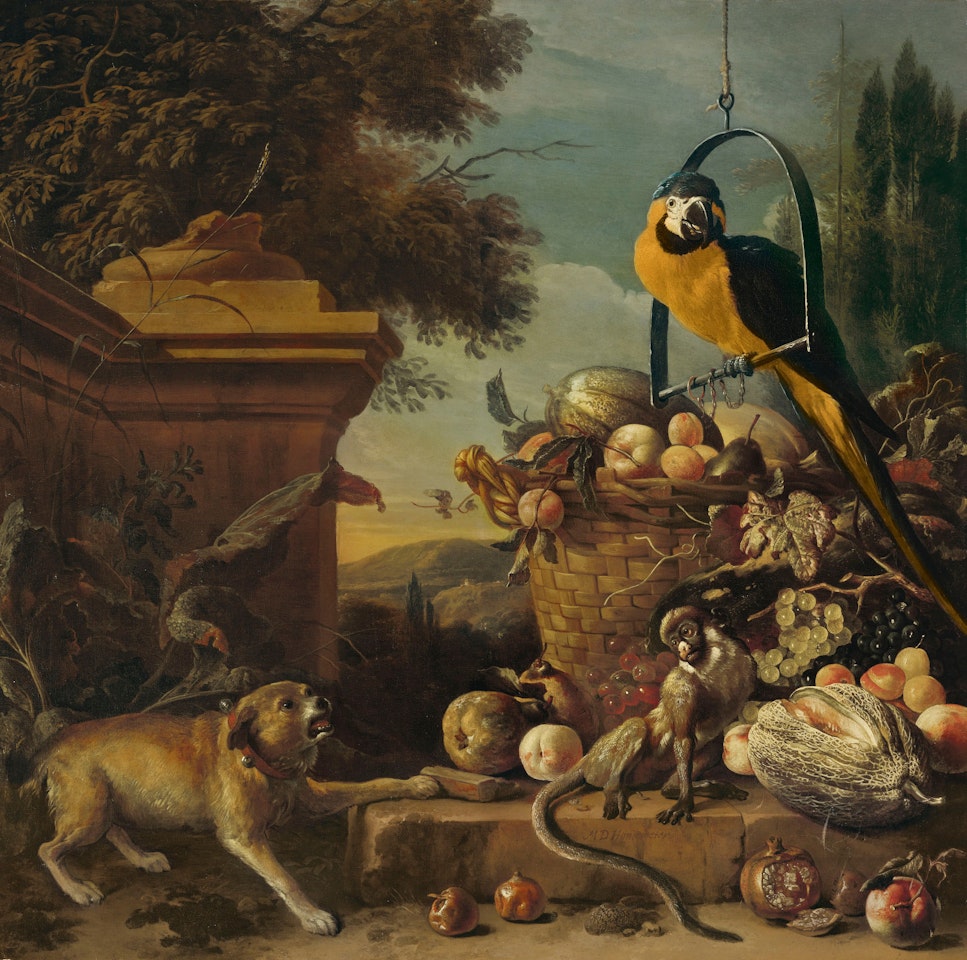 A blue-and-yellow macaw on a perch, a dog and a monkey with fruit in a garden landscape by Melchior de Hondecoeter