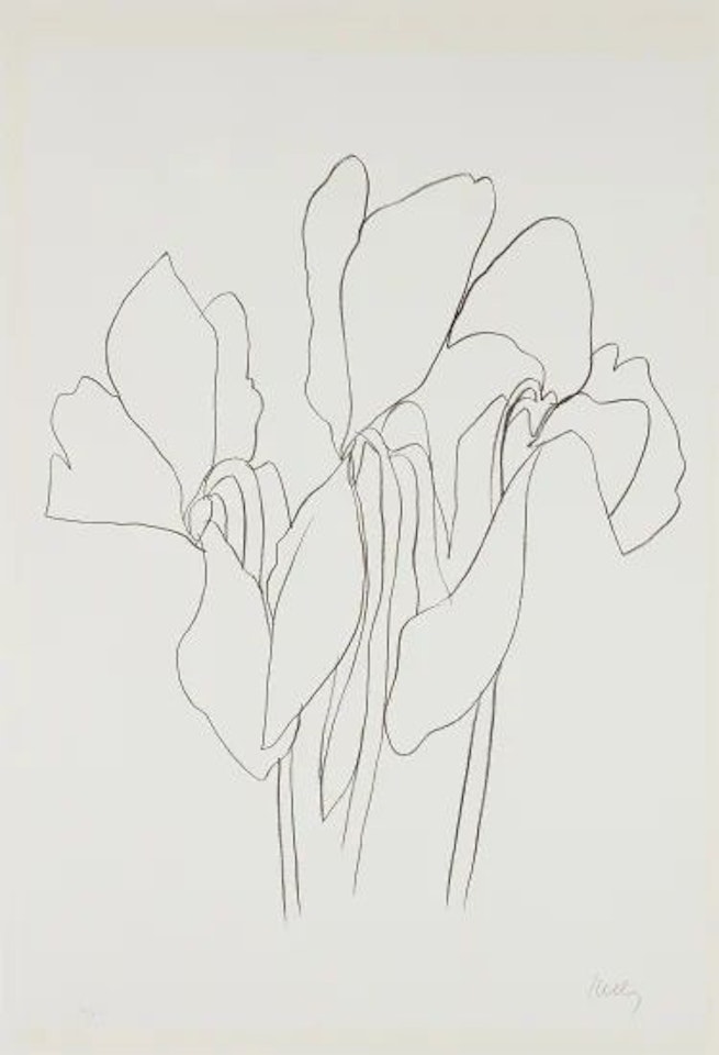 Cyclamen V, from Suite of Plant Lithographs by Ellsworth Kelly