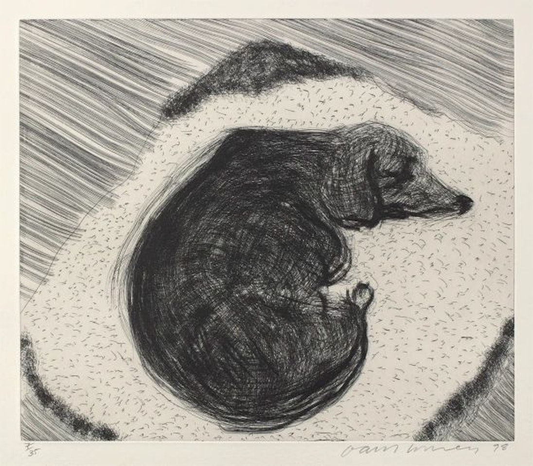 Dog Wall No.3, from Dog Wall by David Hockney