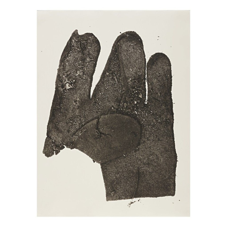 'FLAT GLOVE', 1975 by Irving Penn