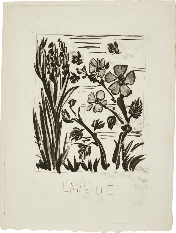 L'AVEILLE (L'ABEILLE) (B. 349; BA. 596) by Pablo Picasso