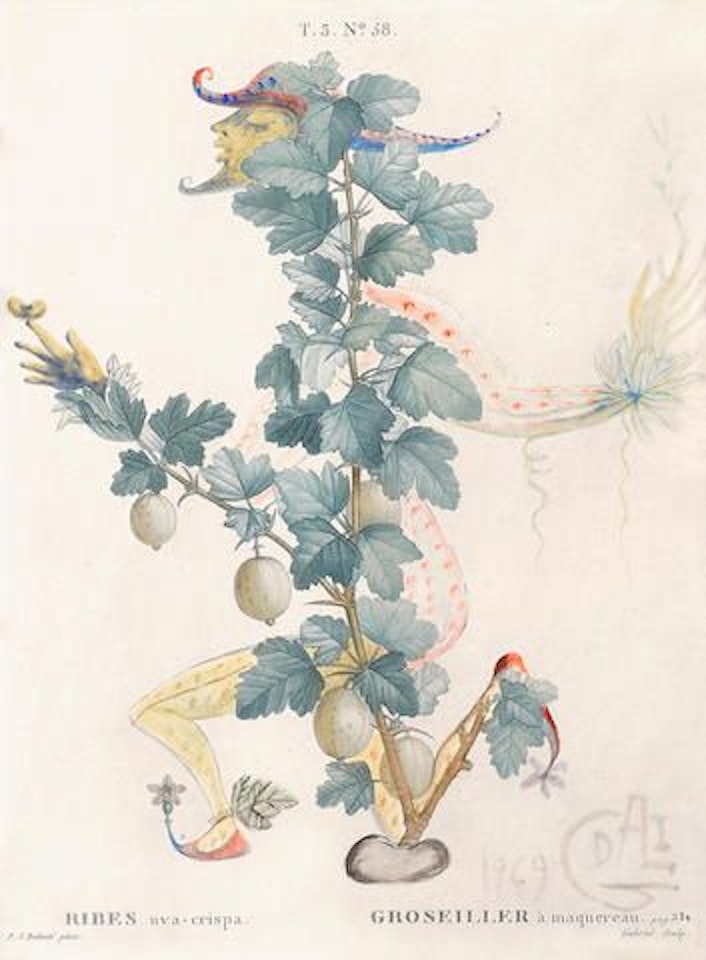 Révérence du Groseillier by Salvador Dali