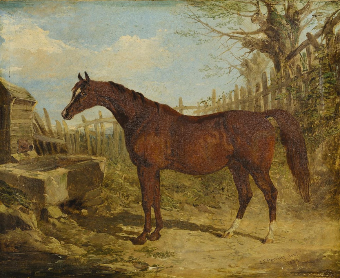 HORSE AT THE TROUGH by John Frederick Herring