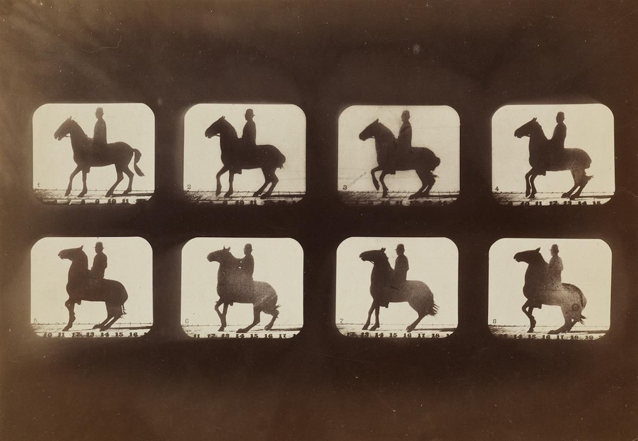 Horse And Rider Motion Study (composite) by Eadweard Muybridge