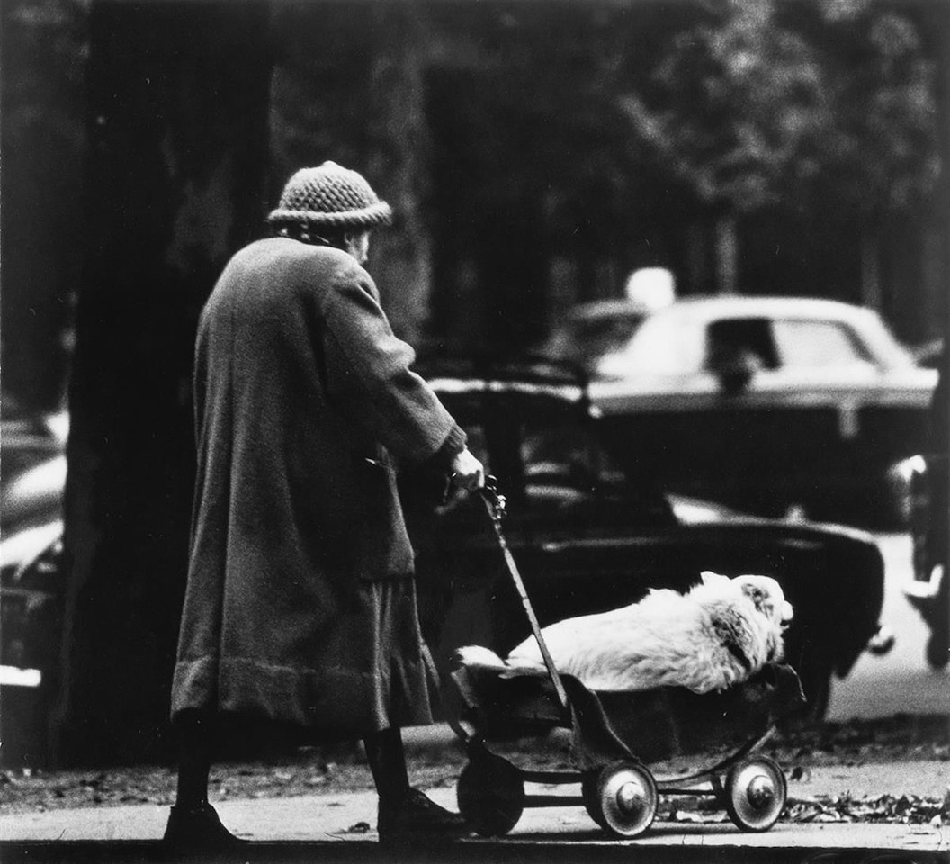 Champs Elysées (woman With Dog In Carriage), 1963 by André Kertész