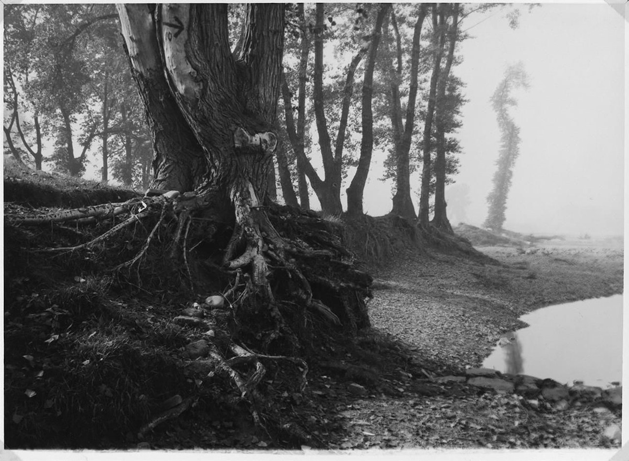 A Walk On Troja Island by Josef Sudek