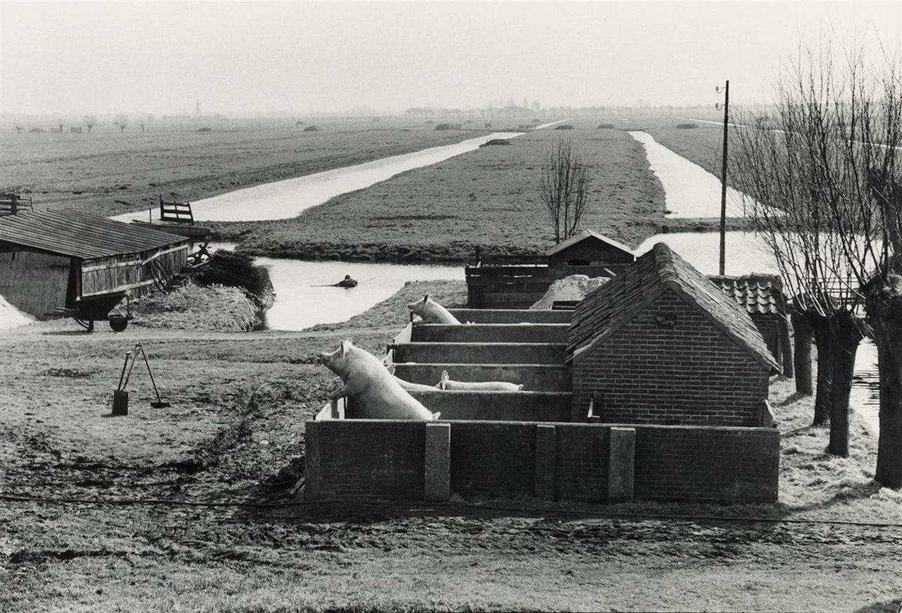 Netherlands, Near Gouda, 1956 by Henri Cartier-Bresson