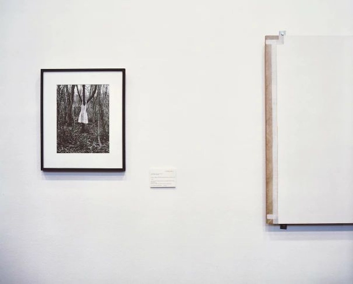 Photograph, Painting by Louise Lawler