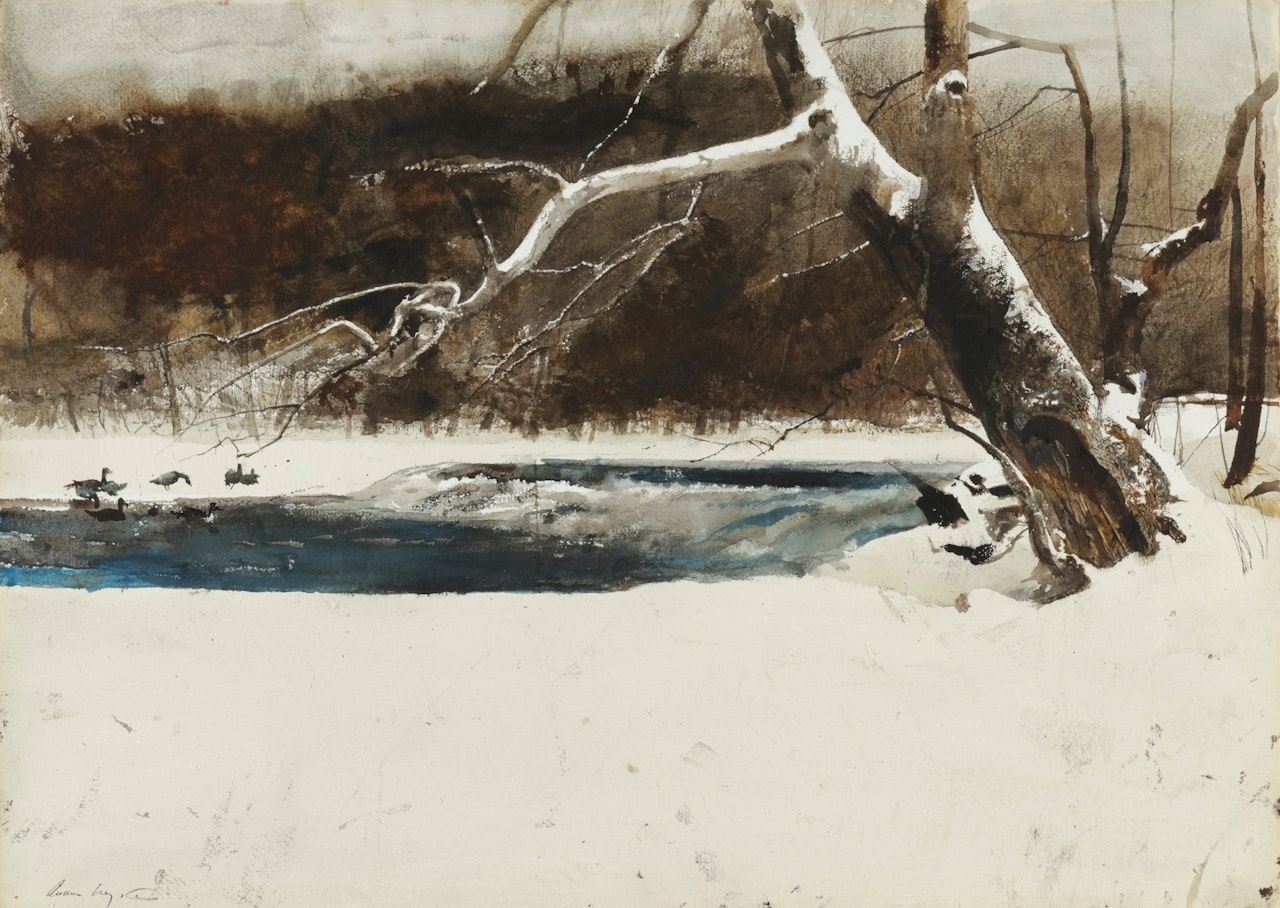 OPEN WATER by Andrew Wyeth