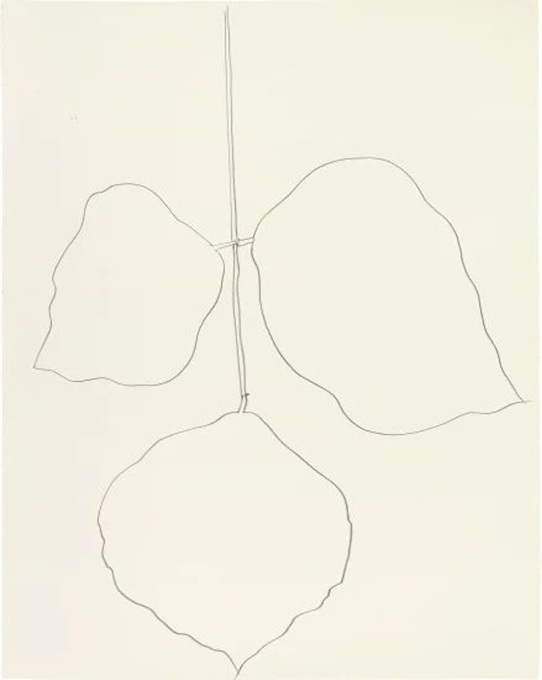 Coral Leaf (1) by Ellsworth Kelly