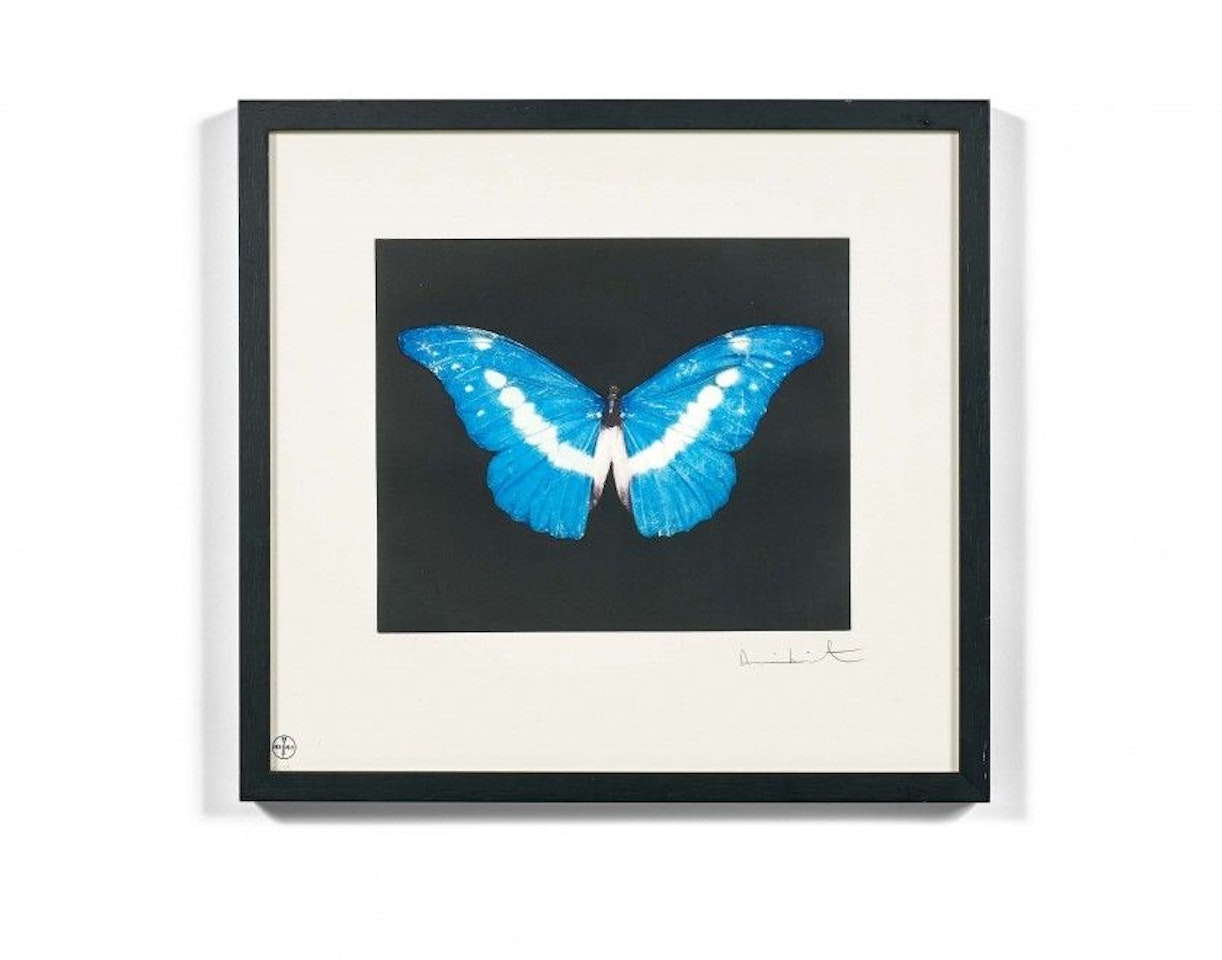 To begin by Damien Hirst