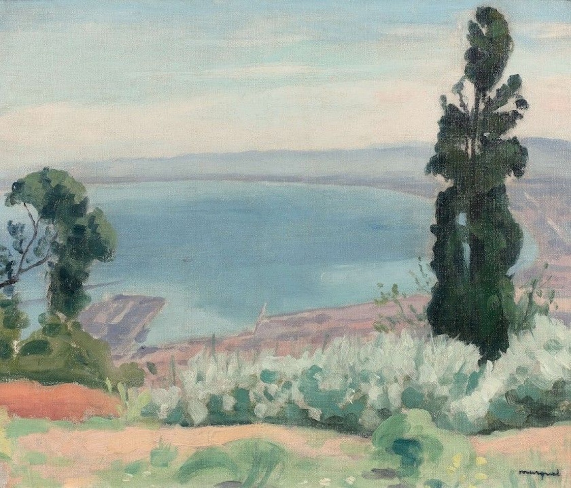 Bay of Algiers seen from El Biar by Albert Marquet