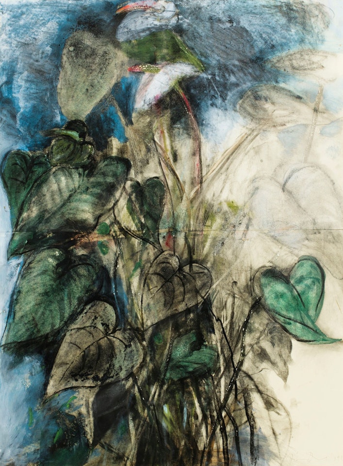 CHELSEA ANTHURIUM by Jim Dine