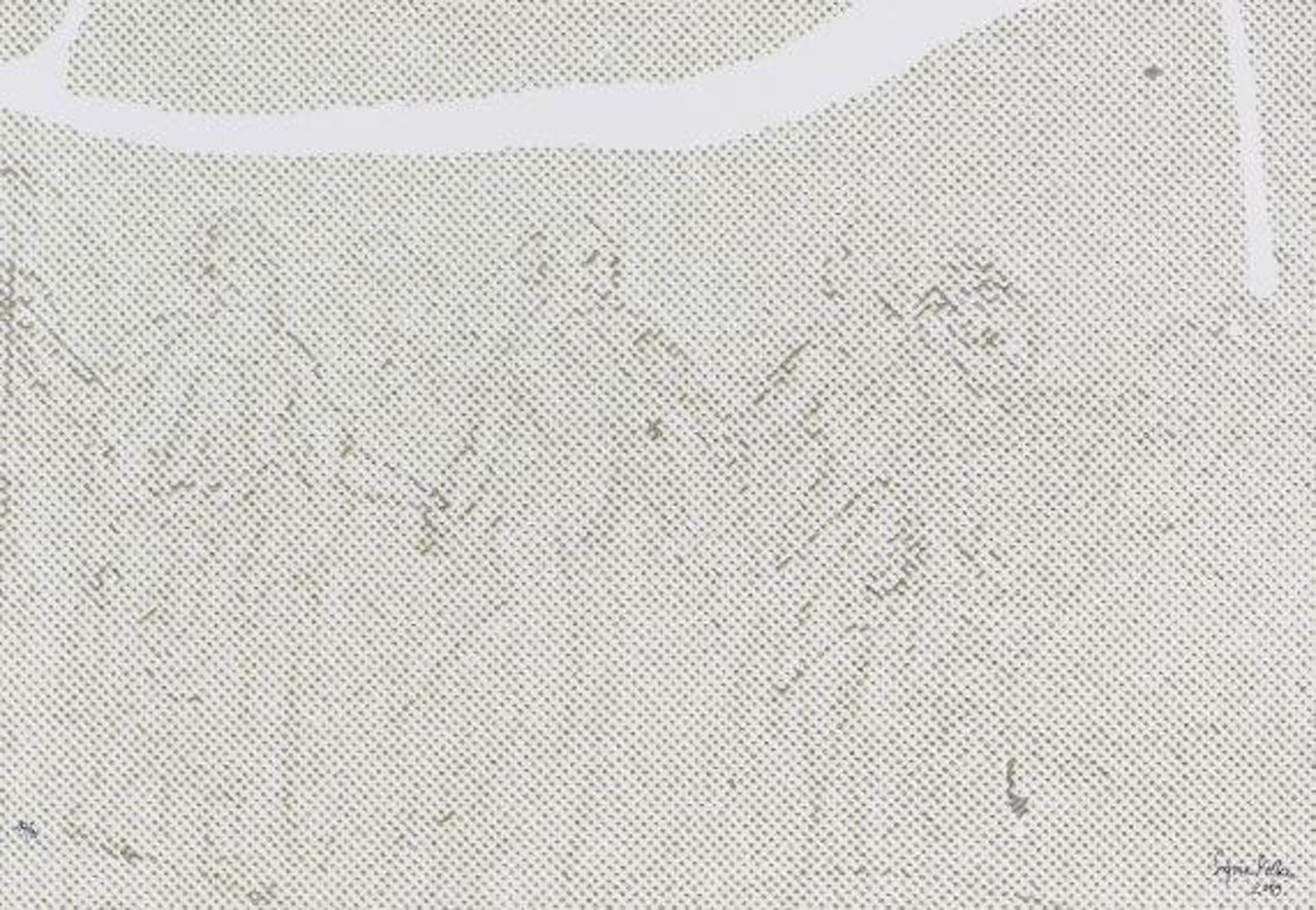 Danneckers Hausgecko by Sigmar Polke