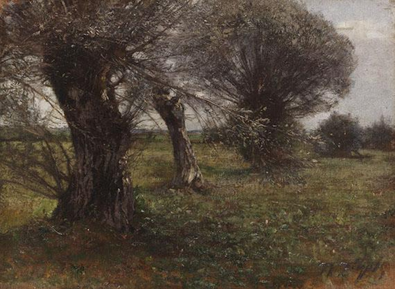 Weiden im Moos by Heinrich von Zugel